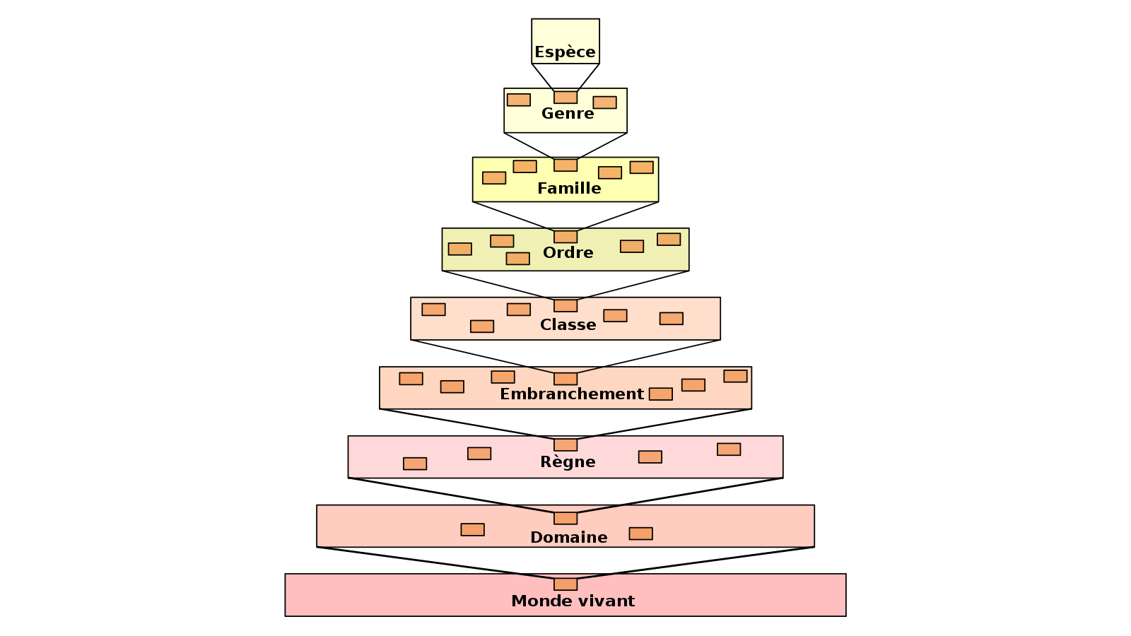 langfr-800px-Taxonomic_hierarchy.svg.png