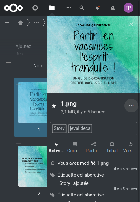 Capture d'écran de l'utilisation des étiquettes dans Nextcloud Fichiers