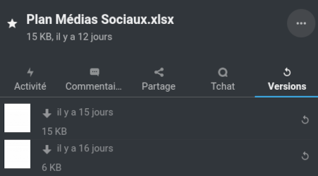 Capture d'écran du panneau des versions dans Nextcloud Fichiers